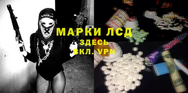 PSILOCYBIN Верея